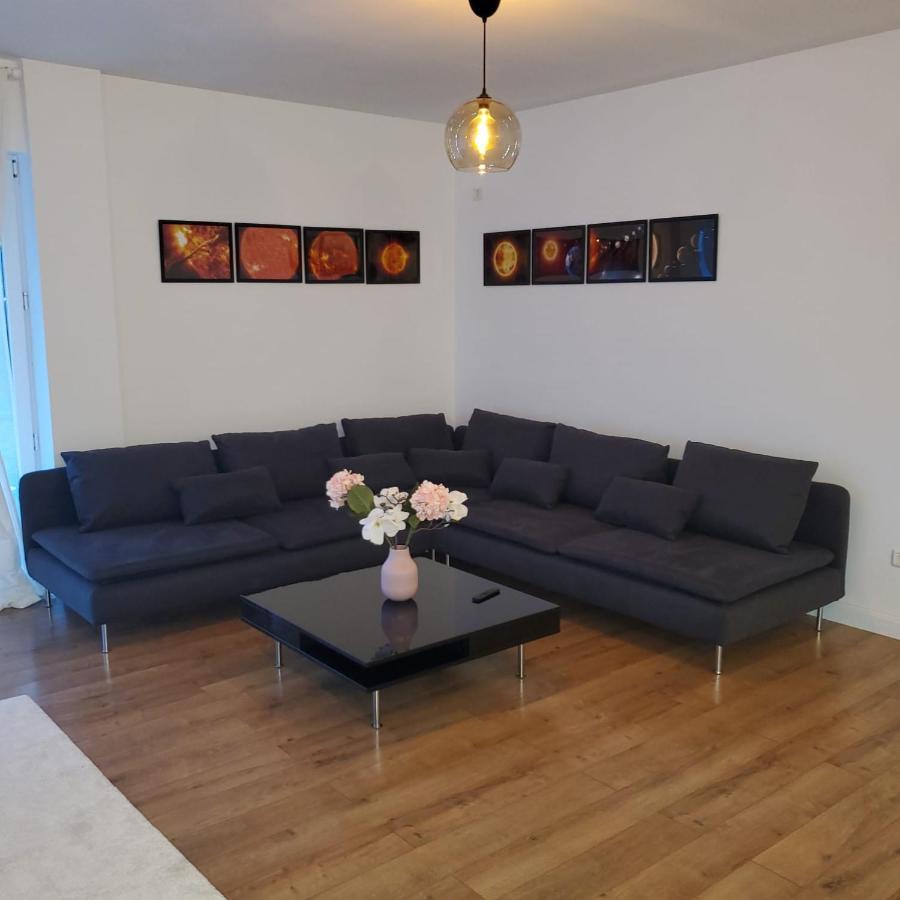 Galaxy Residence Villa Otopeni Eksteriør bilde